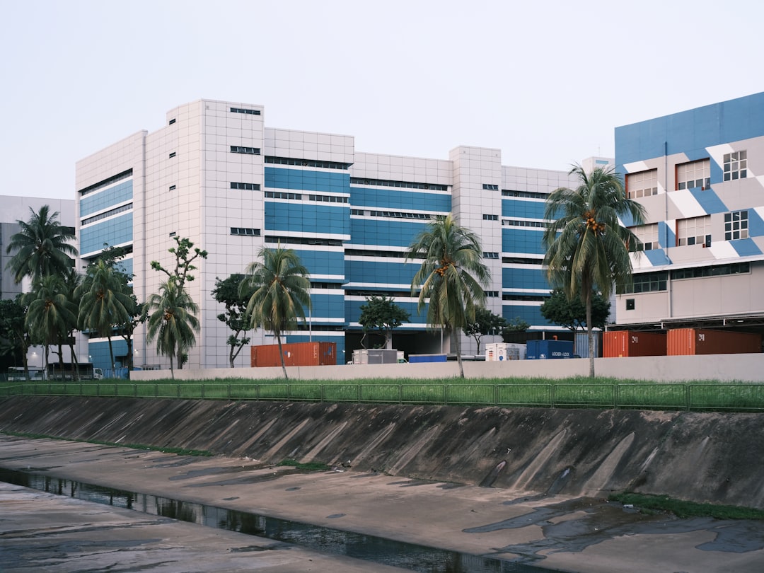 Unlimited vehicles management