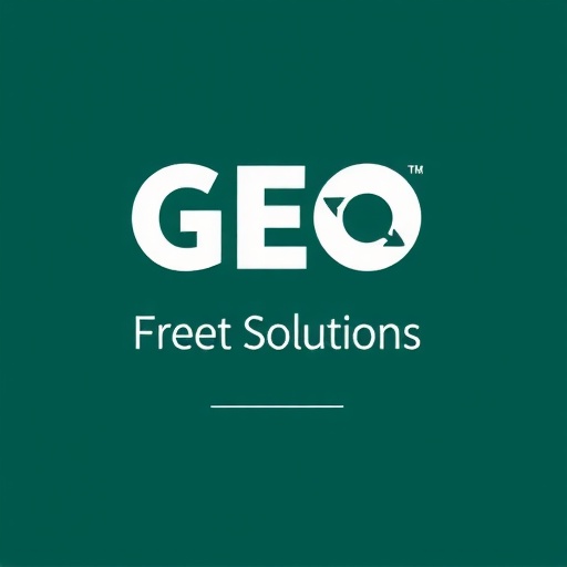 Dublin Fleet Solutions logo
